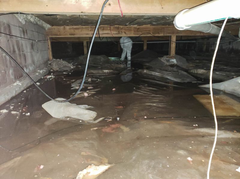 Wet Basement Solutions in Sarasota, FL