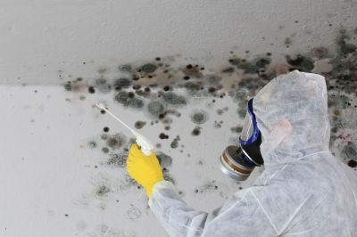 Avoid the Growth of Mold and Mildew!